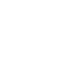 LogoDiscord