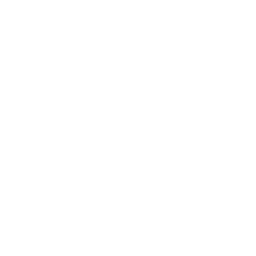 LogoInstagram